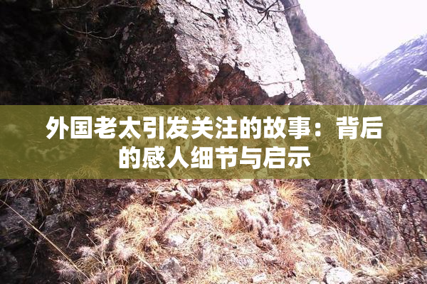 外国老太引发关注的故事：背后的感人细节与启示