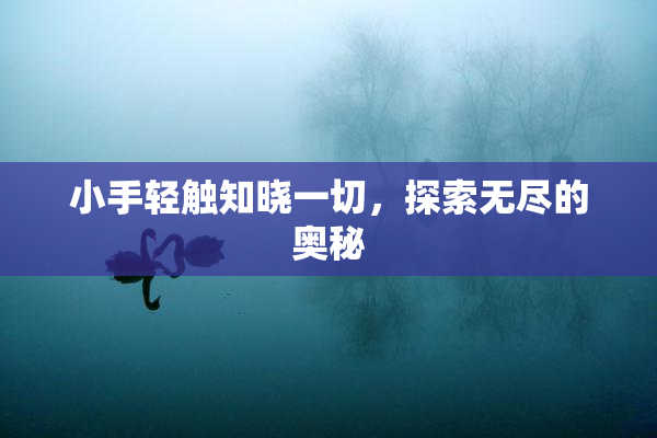 小手轻触知晓一切，探索无尽的奥秘