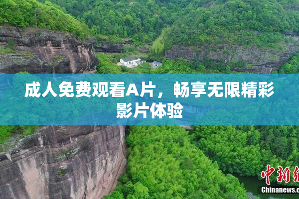 成人免费观看A片，畅享无限精彩影片体验
