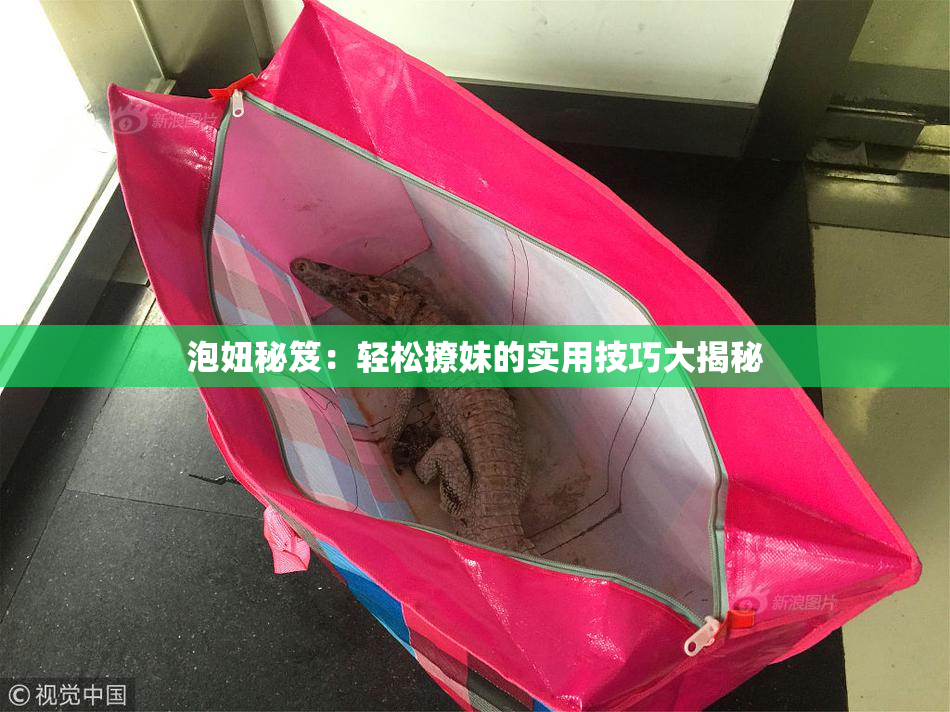 泡妞秘笈：轻松撩妹的实用技巧大揭秘