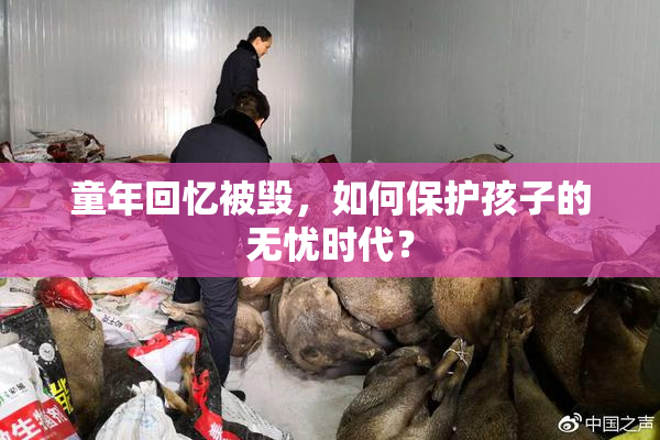 童年回忆被毁，如何保护孩子的无忧时代？