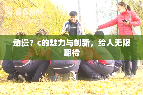 动漫？c的魅力与创新，给人无限期待
