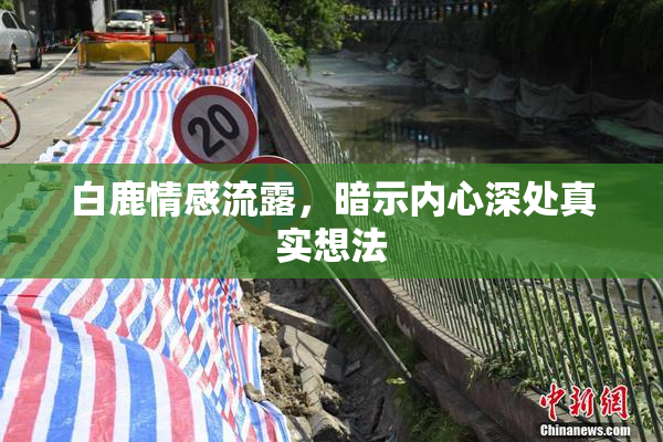 白鹿情感流露，暗示内心深处真实想法