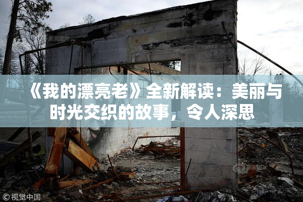 《我的漂亮老》全新解读：美丽与时光交织的故事，令人深思