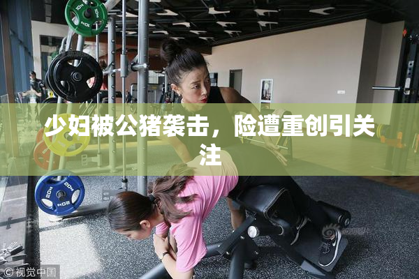 少妇被公猪袭击，险遭重创引关注