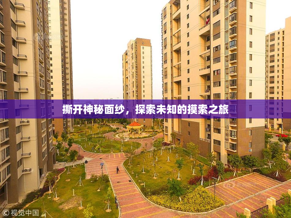 撕开神秘面纱，探索未知的摸索之旅