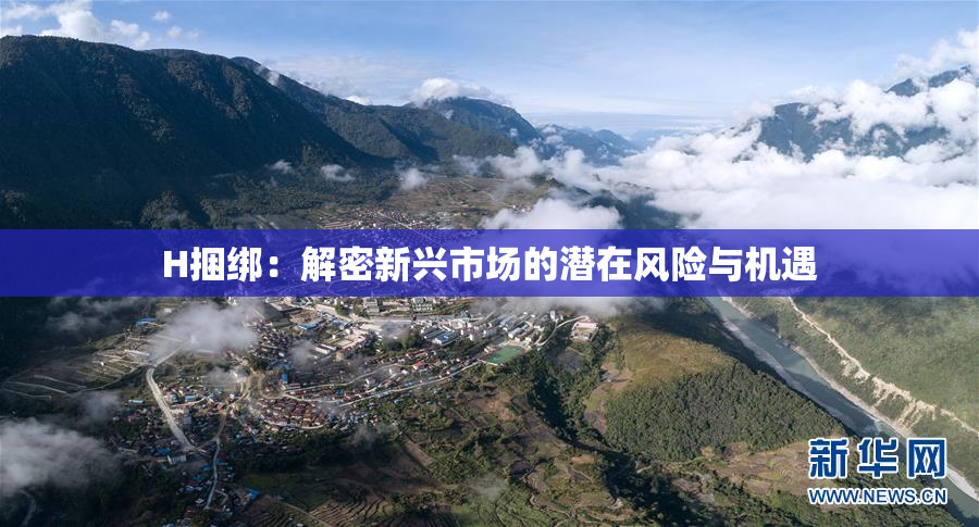 H捆绑：解密新兴市场的潜在风险与机遇