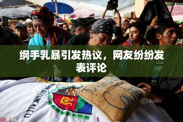 纲手乳暴引发热议，网友纷纷发表评论