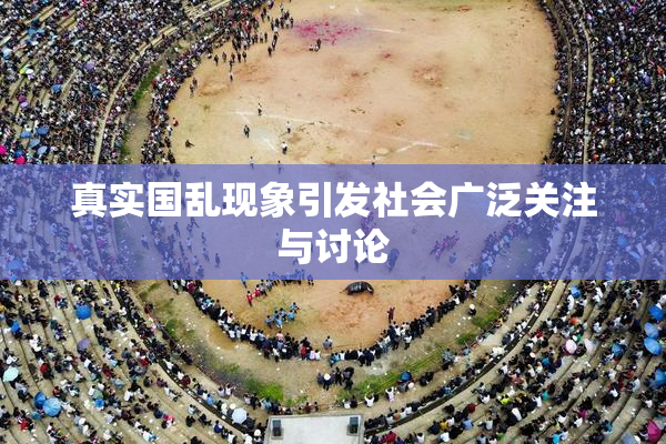 真实国乱现象引发社会广泛关注与讨论