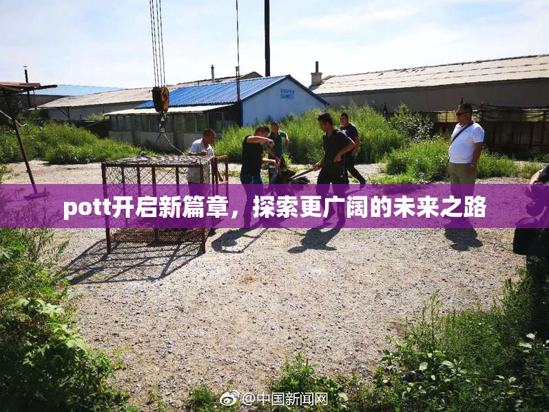 pott开启新篇章，探索更广阔的未来之路
