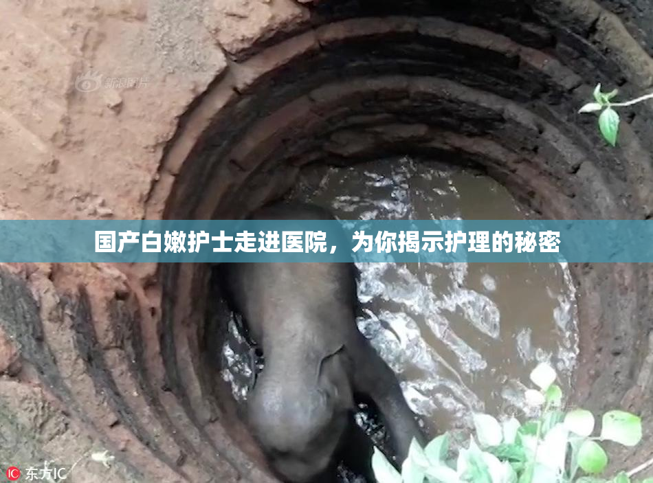 国产白嫩护士走进医院，为你揭示护理的秘密