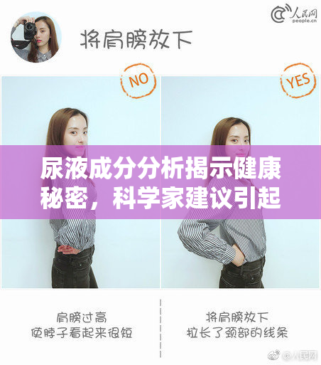 尿液成分分析揭示健康秘密，科学家建议引起重视