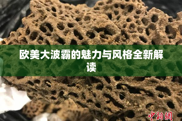 欧美大波霸的魅力与风格全新解读