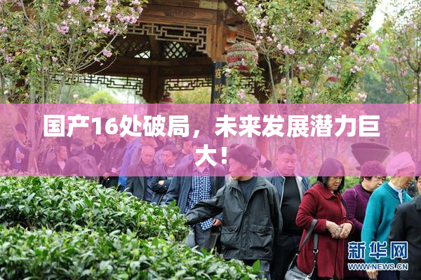 国产16处破局，未来发展潜力巨大！