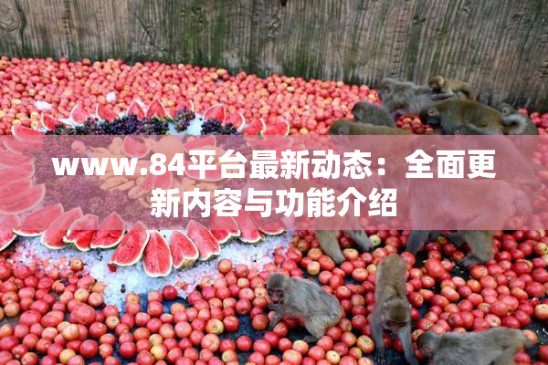 www.84平台最新动态：全面更新内容与功能介绍