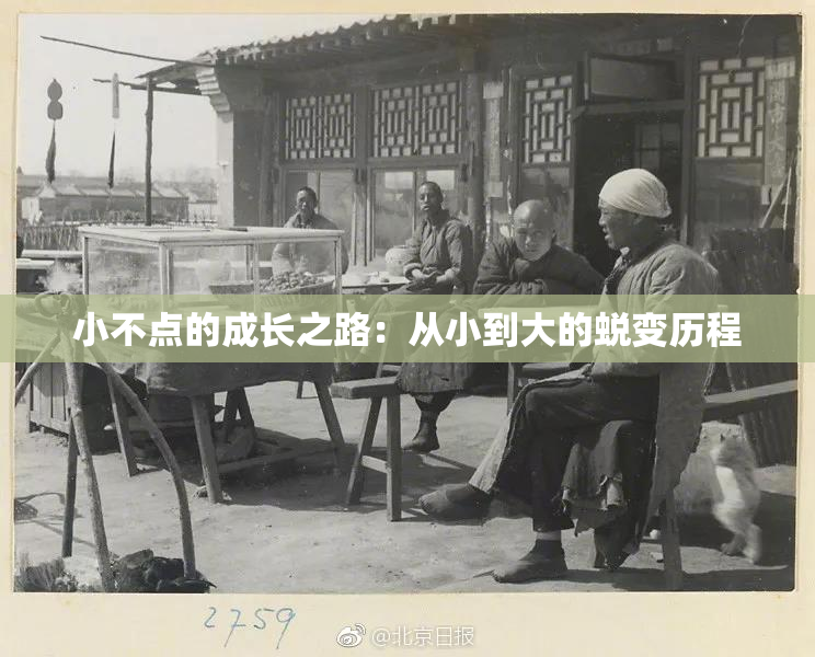 小不点的成长之路：从小到大的蜕变历程