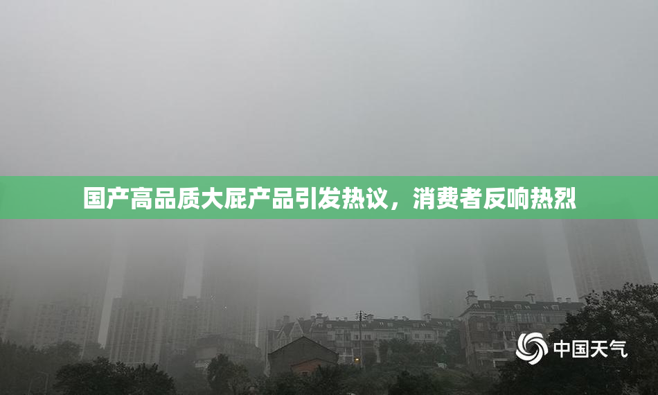 国产高品质大屁产品引发热议，消费者反响热烈