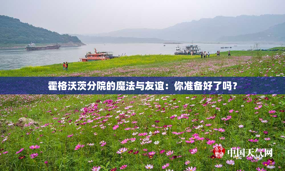 霍格沃茨分院的魔法与友谊：你准备好了吗？