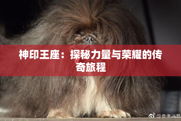 神印王座：探秘力量与荣耀的传奇旅程