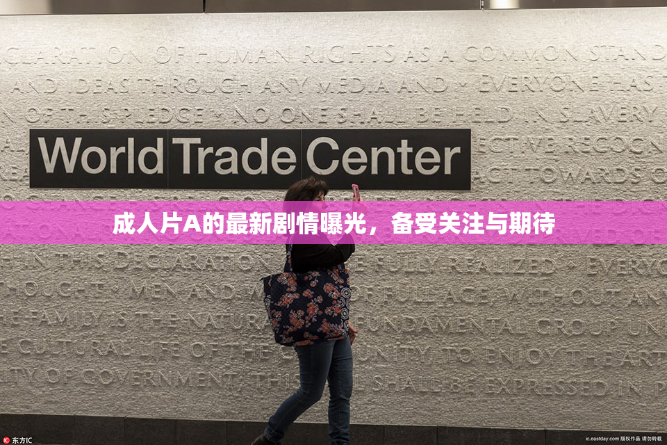 成人片A的最新剧情曝光，备受关注与期待