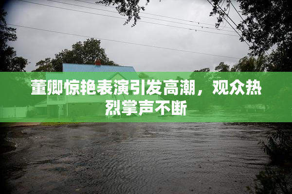 董卿惊艳表演引发高潮，观众热烈掌声不断