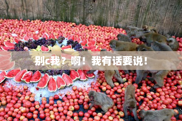 别c我？啊！我有话要说！
