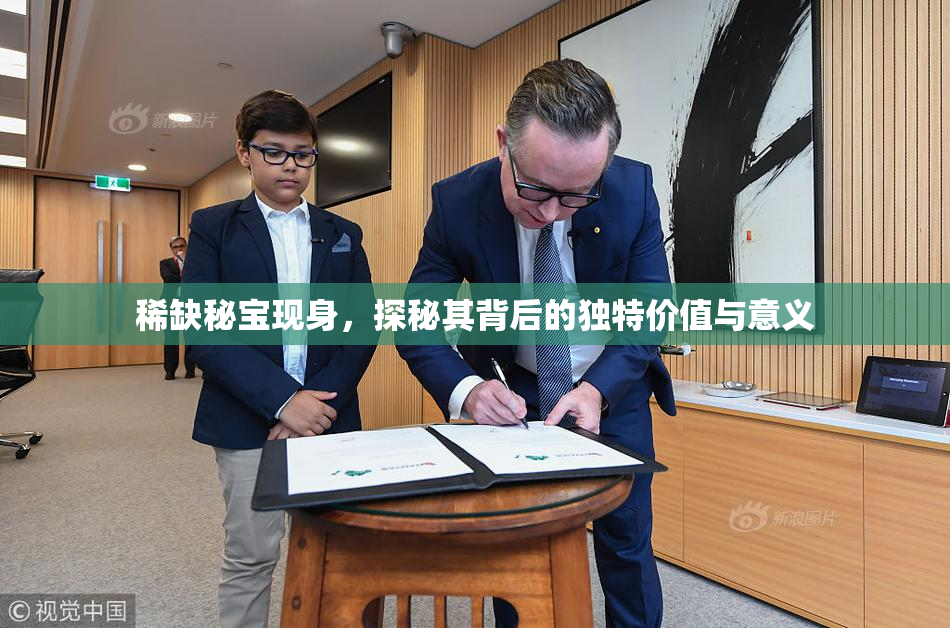 稀缺秘宝现身，探秘其背后的独特价值与意义