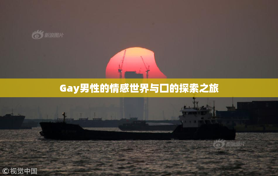 Gay男性的情感世界与囗的探索之旅
