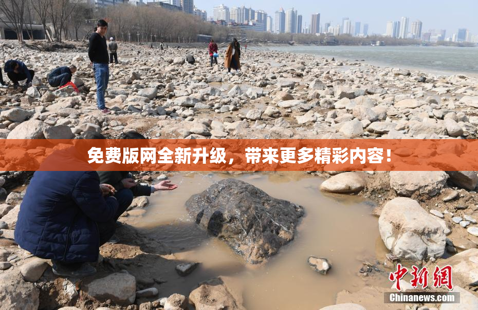 免费版网全新升级，带来更多精彩内容！