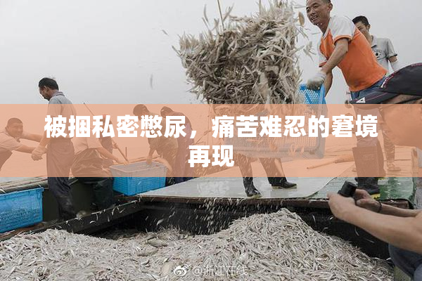 被捆私密憋尿，痛苦难忍的窘境再现