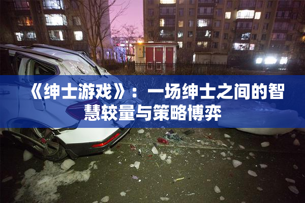 《绅士游戏》：一场绅士之间的智慧较量与策略博弈