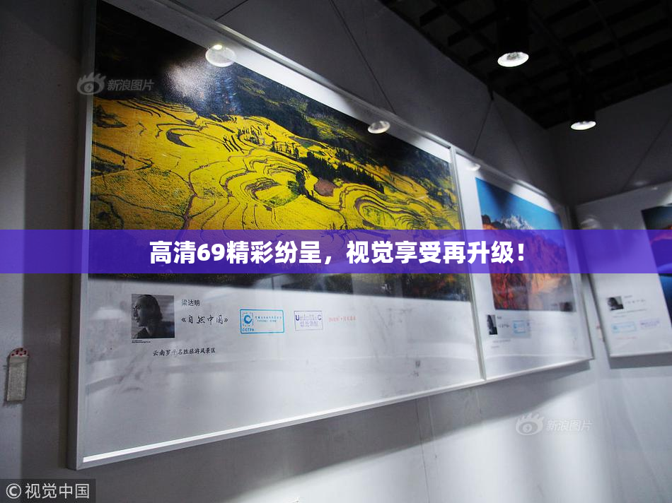 高清69精彩纷呈，视觉享受再升级！