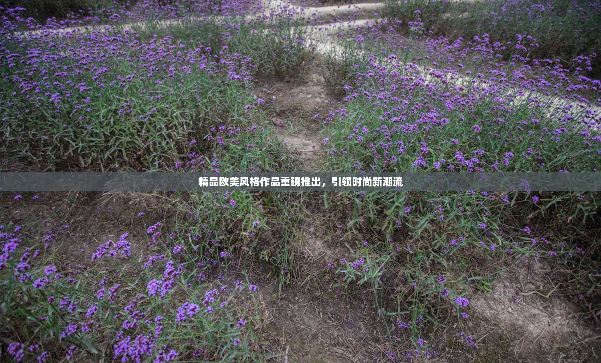 精品欧美风格作品重磅推出，引领时尚新潮流