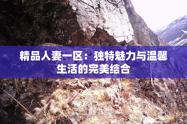 精品人妻一区：独特魅力与温馨生活的完美结合