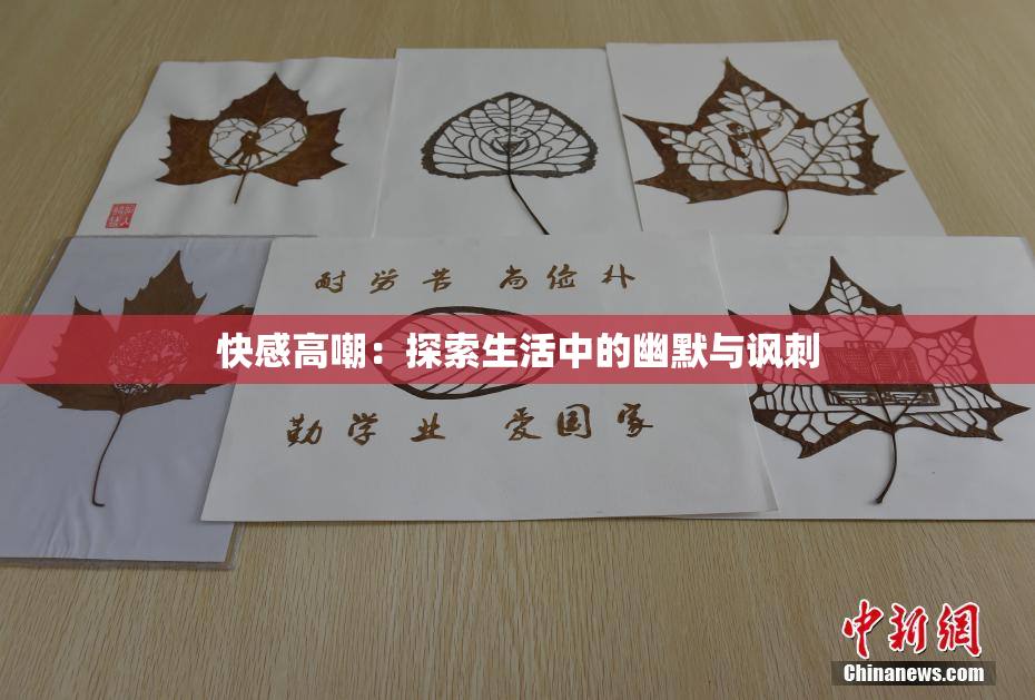 快感高嘲：探索生活中的幽默与讽刺