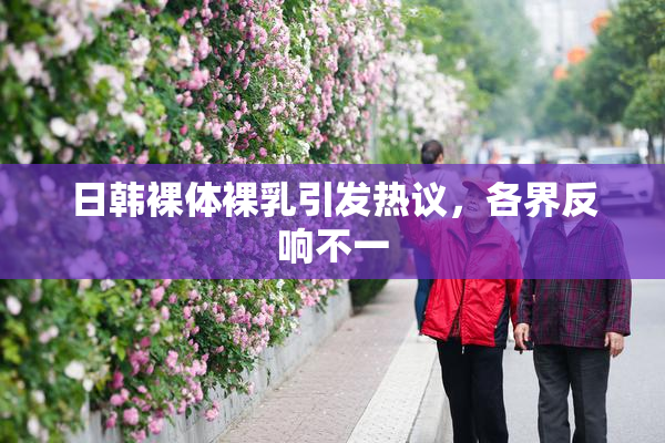 日韩裸体裸乳引发热议，各界反响不一