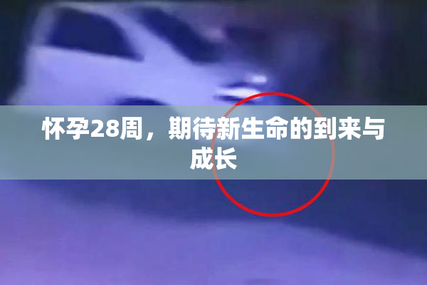 怀孕28周，期待新生命的到来与成长