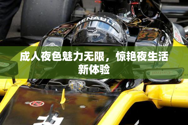成人夜色魅力无限，惊艳夜生活新体验