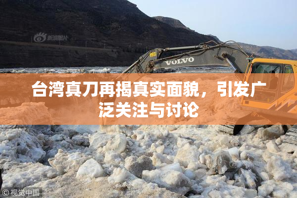 台湾真刀再揭真实面貌，引发广泛关注与讨论