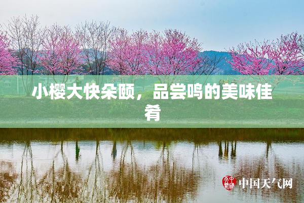 小樱大快朵颐，品尝鸣的美味佳肴