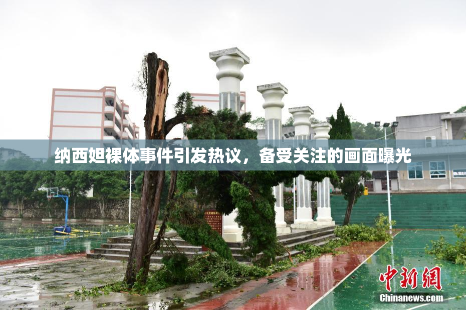 纳西妲裸体事件引发热议，备受关注的画面曝光
