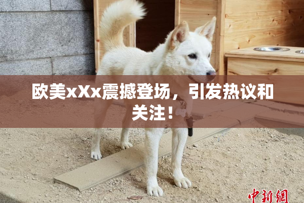 欧美xXx震撼登场，引发热议和关注！
