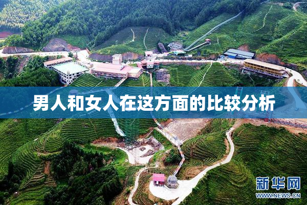 男人和女人在这方面的比较分析