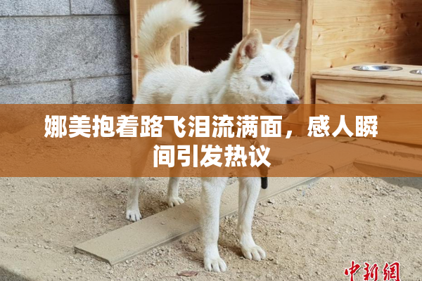 娜美抱着路飞泪流满面，感人瞬间引发热议