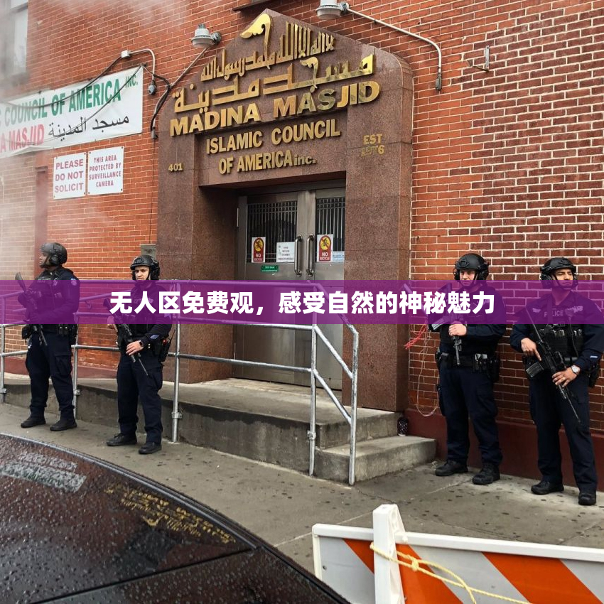 无人区免费观，感受自然的神秘魅力