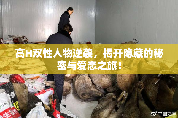 高H双性人物逆袭，揭开隐藏的秘密与爱恋之旅！