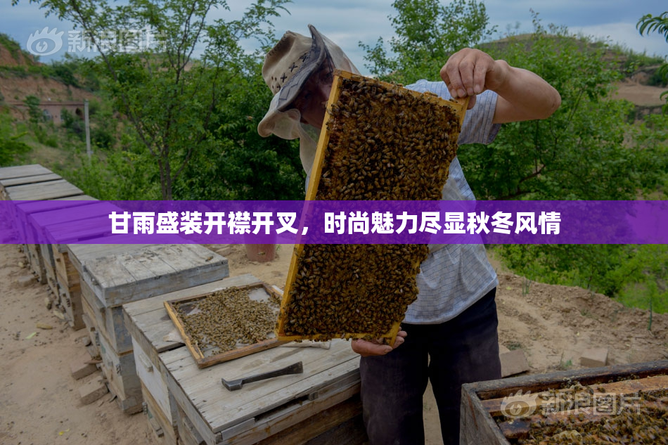 甘雨盛装开襟开叉，时尚魅力尽显秋冬风情