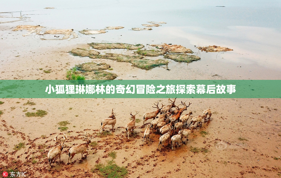 小狐狸琳娜林的奇幻冒险之旅探索幕后故事
