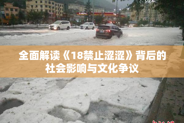 全面解读《18禁止涩涩》背后的社会影响与文化争议