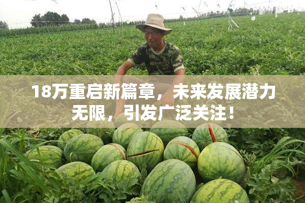 18万重启新篇章，未来发展潜力无限，引发广泛关注！